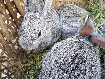 《我的可爱妻子》6月8日发售 与魅魔过幸福生活